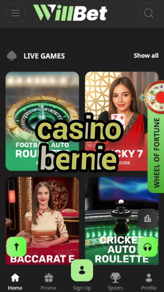 Casino Bernie - Political-Themed Casino-www.bdqngd.com